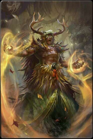 Le Chaman